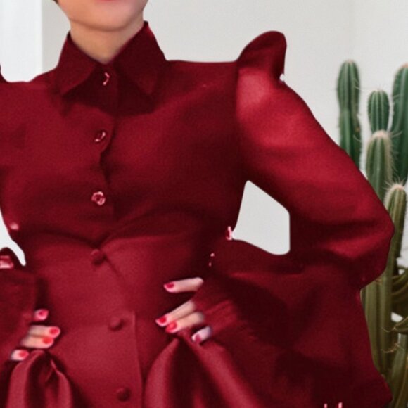 Elegant Red Satin Puff Sleeve Button-Front Fit & Flare Dress | Church, Gala - Picture 4 of 5